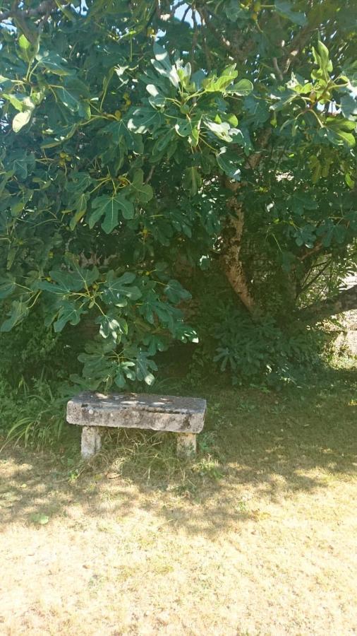 GibourneFig Tree Barnアパートメント エクステリア 写真
